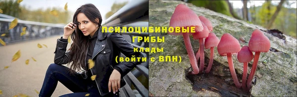 прущие крисы Аркадак