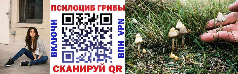 Галлюциногенные грибы Psilocybine cubensis  кракен зеркало  Белая Калитва 
